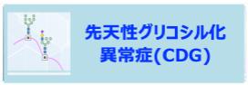 先天性グリコシル化異常症（CDG)